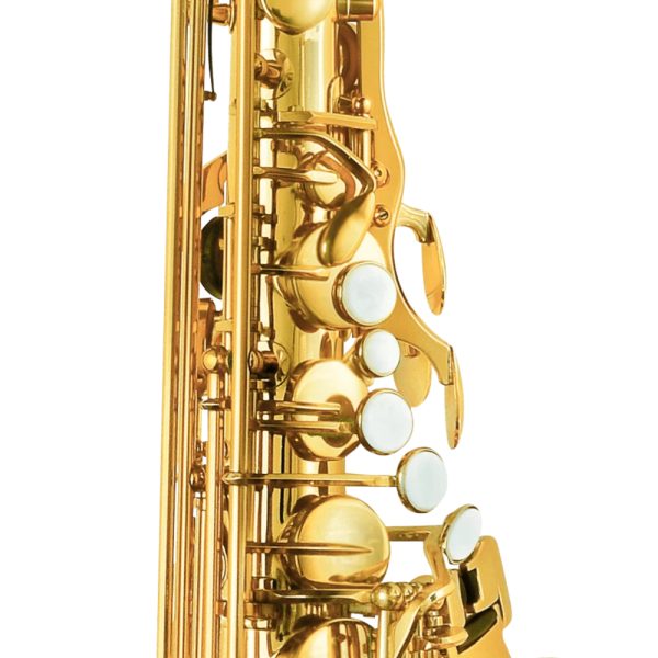 Saxofone Alto P.Mauriat PMSA-180 AGL Gold Lacquer - Imagem 4