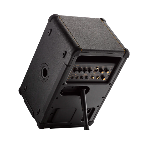 Amplificador Positive Grid Spark Live Bluetooth BLK - Image 2