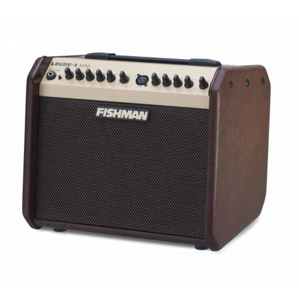 Cubo Violão Fishman Pro-lbx-ex5 Loudbox Artist 60w Falante 6,5" - Imagem 3