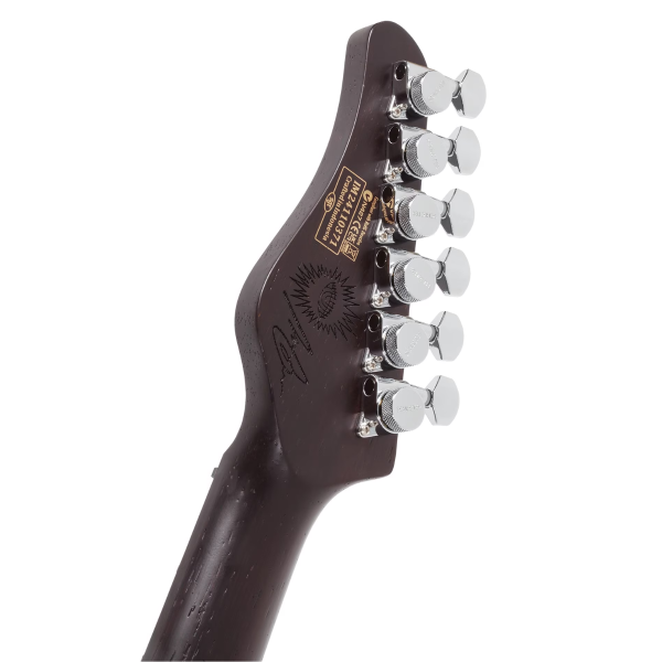 Guitarra Schecter Nick Johnston HSS 10th Anniversary #1154 - Imagem 11