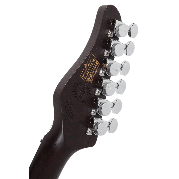 Guitarra Schecter Nick Johnston Hss 10th Anniversary #1155 - Imagem 11